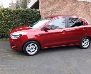 Ford Ka/Ka+ Gebrauchtwagen