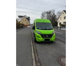 Fiat Ducato Gebrauchtwagen