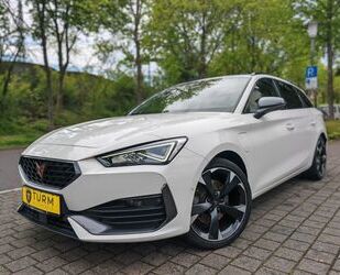 Cupra Leon Gebrauchtwagen