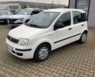 Fiat Panda Gebrauchtwagen