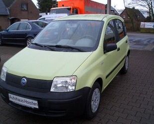 Fiat Panda Gebrauchtwagen