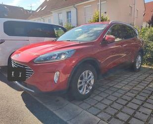 Ford Kuga Gebrauchtwagen