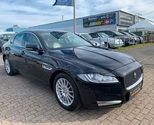 Jaguar XF Gebrauchtwagen