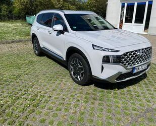 Hyundai SANTA FE Gebrauchtwagen