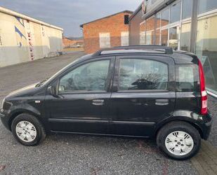 Fiat Panda Gebrauchtwagen