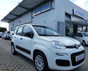 Fiat Panda Gebrauchtwagen