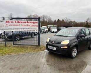 Fiat Panda Gebrauchtwagen