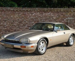 Jaguar XJS Gebrauchtwagen