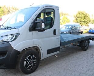 Fiat Ducato Gebrauchtwagen