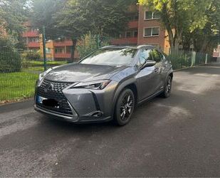 Lexus UX Gebrauchtwagen