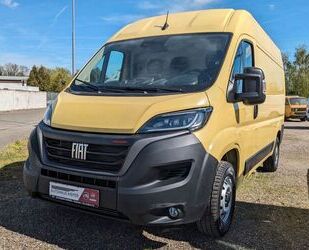 Fiat Ducato Gebrauchtwagen