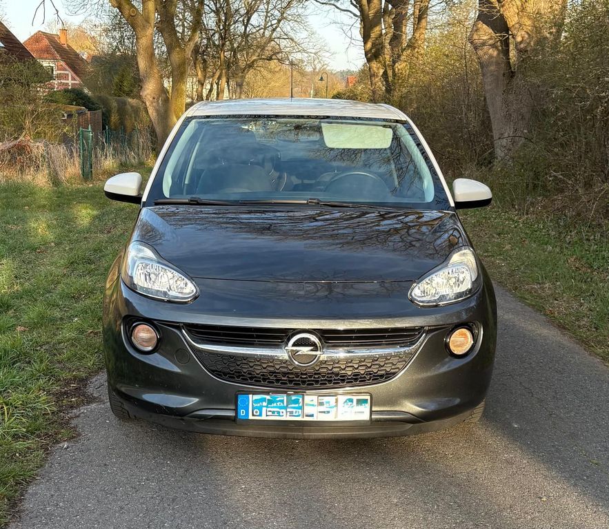 Bild 1