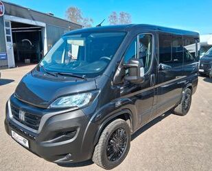 Fiat Ducato Gebrauchtwagen