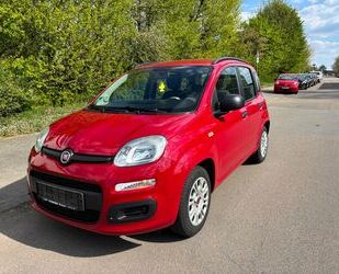 Fiat Panda Gebrauchtwagen