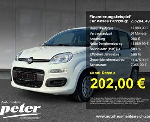 Fiat Panda Gebrauchtwagen