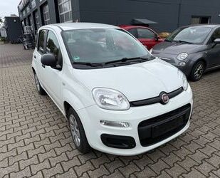 Fiat Panda Gebrauchtwagen