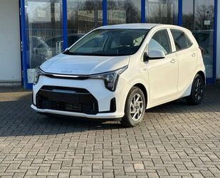Kia Picanto Gebrauchtwagen