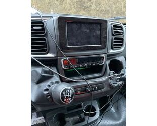 Fiat Ducato Gebrauchtwagen