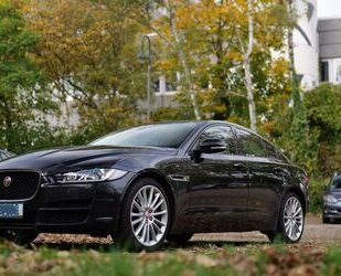 Jaguar XE Gebrauchtwagen
