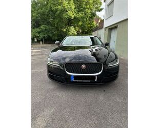 Jaguar XE Gebrauchtwagen