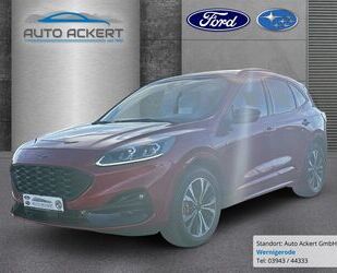Ford Kuga Gebrauchtwagen
