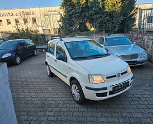 Fiat Panda Gebrauchtwagen