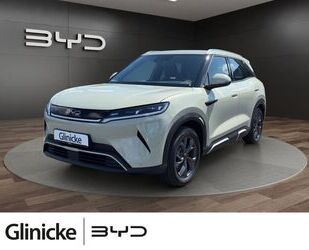 BYD ATTO 2 Gebrauchtwagen