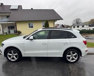 Audi Q5 Gebrauchtwagen