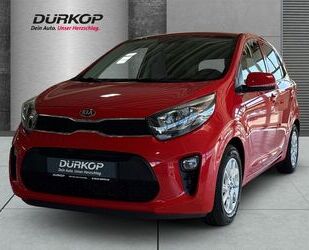 Kia Picanto Gebrauchtwagen