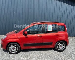 Fiat Panda Gebrauchtwagen