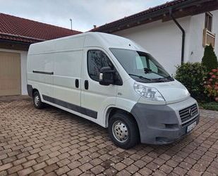 Fiat Ducato Gebrauchtwagen