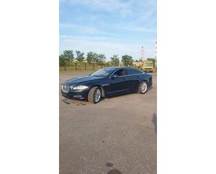 Jaguar XJ Gebrauchtwagen