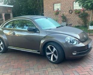 VW Beetle Gebrauchtwagen