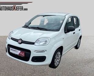 Fiat Panda Gebrauchtwagen