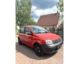 Fiat Panda Gebrauchtwagen