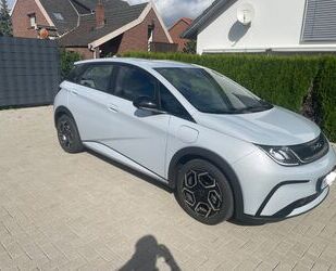BYD DOLPHIN Gebrauchtwagen