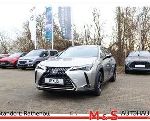 Lexus UX Gebrauchtwagen