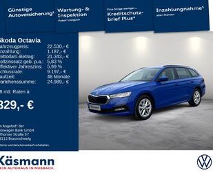 Skoda Octavia Gebrauchtwagen