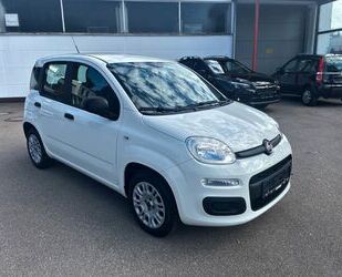 Fiat Panda Gebrauchtwagen