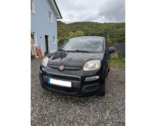 Fiat New Panda Gebrauchtwagen