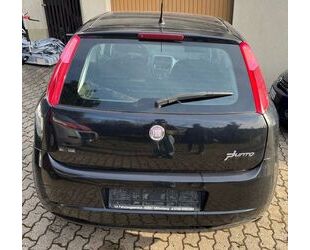 Fiat Punto Gebrauchtwagen