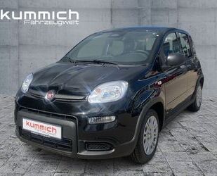 Fiat Panda Gebrauchtwagen