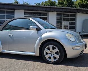 Ford New Beetle 