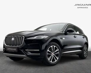 Jaguar F-Pace Gebrauchtwagen