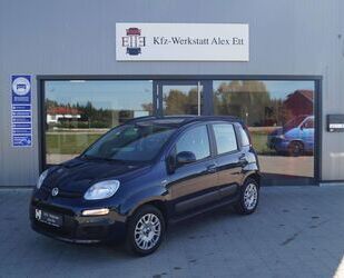 Fiat Panda Gebrauchtwagen