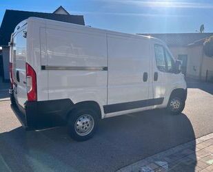 Peugeot Boxer Gebrauchtwagen