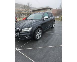 Audi SQ5 Gebrauchtwagen