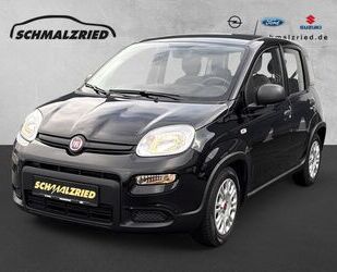 Fiat Panda Gebrauchtwagen