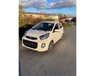 Kia Picanto Gebrauchtwagen