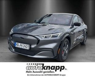Ford Mustang Mach-E Gebrauchtwagen